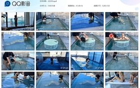 【欢乐谷】游泳池里的驷马捆绑