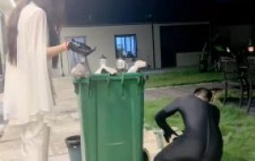 【沅芷大人】把狗囚禁在垃圾桶里