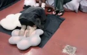 【女仆店S】3素人主VS母畜-强制舔/转胯耳光虐打