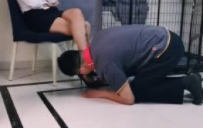 【徐婉琪】人格侮辱/厕奴驯化/烟灰缸洗脚水/狗笼圈养