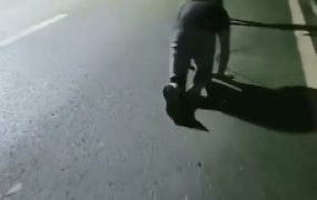 【朱迪】双S户外遛狗散步【双视角版】