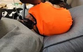 【玥野兔】臭脚丫气味羞辱控制