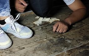 10分钟全语言羞辱运动鞋踩面包、喂食&长期圈养