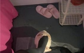 【狗哥】真实-实录开发站街女