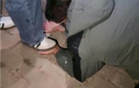 【小雅老师】户外tj老狗-圣水口水喂食场-脏！