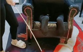 【芷镜小主】重度刑虐-藤条sp