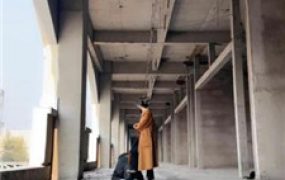 【辣姐】户外荒地遛狗-藤条抽/舔泥巴脏鞋底/骑马