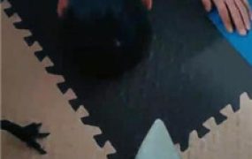 【魅影女神】给狗做特殊的生日蛋糕