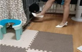 【平凡】圈养狗奴犬化实录