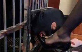 【夏梦】双S-狗笼囚禁/舔高跟/骑马/脚喂酸奶【双视角版】