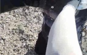 【酒鸽】户外-五花大绑封嘴/长靴踩虐/窒息【双视角版】