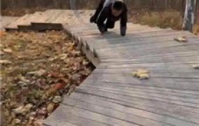 【辣姐】周末公园长靴S遛狗 【续集】