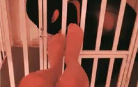 【兰芯大人】狗笼囚禁强制舔脚