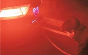 【昭玥】夜调-开车遛狗/骑马钻胯/绑树耳光