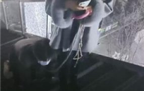 【昭玥】深夜户外-牵狗链遛狗爬行-骑马转胯-踩踏