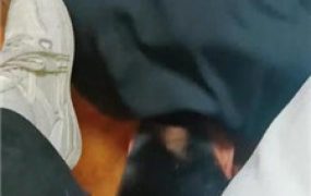 【林十七】运动后原味鞋袜羞辱