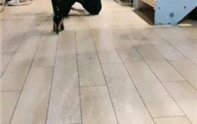 【觅林】长靴脚下崇拜/抽耳光/舔脏鞋踩踏