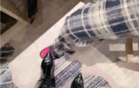 【玥樾】高跟长靴S开发小奶狗-骑马坐垫/舔黑丝脚