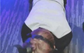 【桃一】犬化戴狗头套的贱奴才