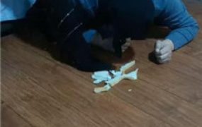 【水仙】长靴踩踏喂食