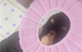 【小月牙】训练厕奴-踩踏/头压马桶/口水吐脸/赏赐圣水/胶带裹脸