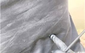 【沅芷大人】吊绑树上鞭子狂抽