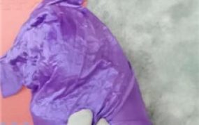 【甘露】全包虐木乃伊狗