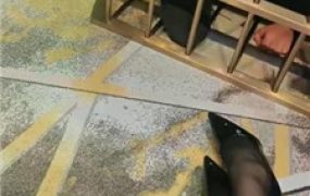 【咩祖】把狗圈养在茶几底下