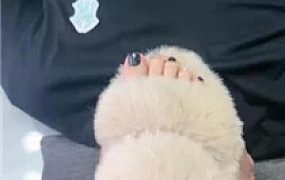 【樱木花椒】生活化的清晨起居