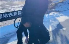 【沐夏夜】户外景区溜双狗