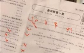 【梓夫人】暴力教育不听话的狗儿子