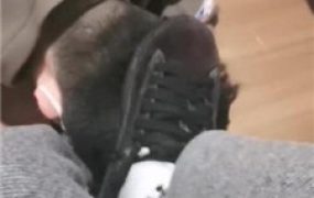 【玉皇】夜跑后脏鞋白袜气味辱