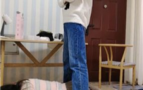 【樱樱】母畜-运动鞋全体重踩/骑马狗爬/闻臭袜/赏赐圣水