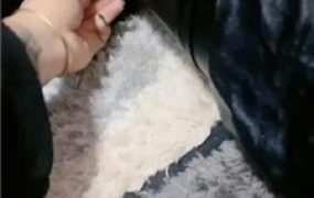 【周舟】强制开口器/麻包袋套头/人形犬爬行【完整版】