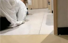 【冷御大大】开发痰盂/坐垫耳光