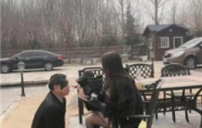 【沅芷大人】犬化改造/长鞭驯化/遛