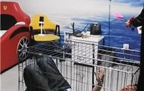 【天韵女皇】双S-圣水淋浴/囚禁狗笼/丝袜塞嘴踩踏【双视角版】JS240713-9