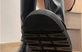 【桃酥sS】辱骂灯 JS240718-26