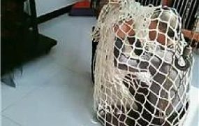 【圈养基地】强制圈养奴剃度【三视角完整版】 JS240802-41