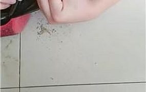 【你的女王】清理泥巴脏鞋/脚下喂食/碾压狗爪 JS240802-35