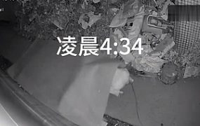 B678 – 无意识户外小路泡沫垫无差别踩全身1.0