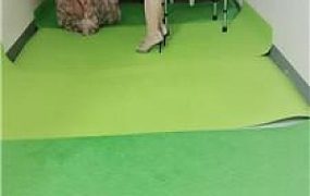 【未央宫】囚禁狗笼/抽耳光/枷锁捆绑/丝袜塞嘴/踩踏鞭打 JS240817-9