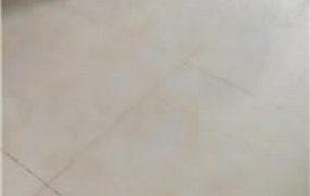 【灵汐】老狗跪求圣水 JS240901-27