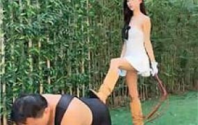 【红焱】庄园仿OWK-鞭打/骑马骑脖/人形交通工具