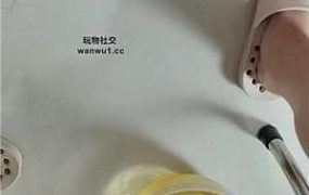 【桃桃樱】囚禁狗笼赏赐圣水 JS240830-1