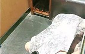 【喵酱紫】CD奴伺候主人吃饭