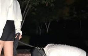 【泡泡】长靴踩踏/深夜户外遛狗犬化