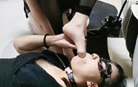 【尤黎】奴下奴调双母狗双公狗【双视角】