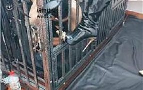 【凤主大大】狗笼囚禁/长靴踩踏/重度鞭打 JS240923-13
