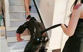 【圈养基地】双S-彻底驯化人形犬 bf45127